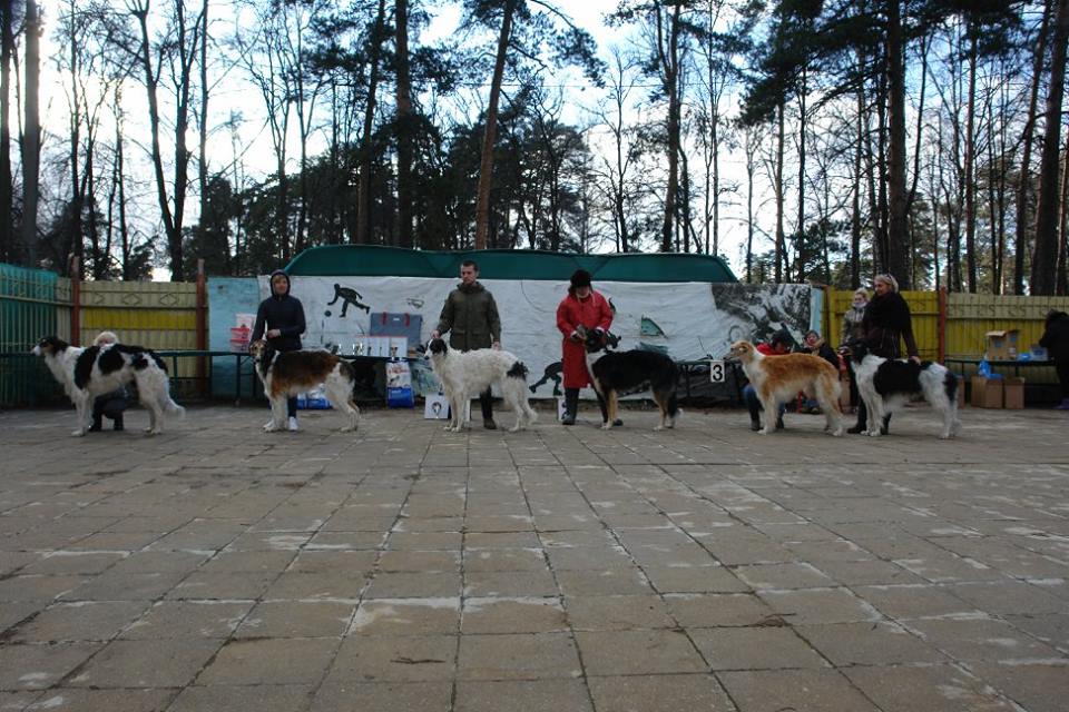 /vistavki/23042017 sravneniye.jpeg /vistavki/23042017 sravneniye.jpeg
